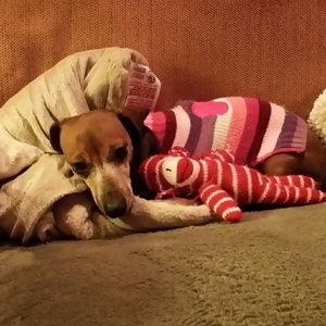 Meet your Posher, Deborah